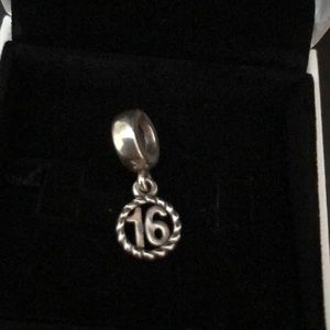✨Pandora Charm 16